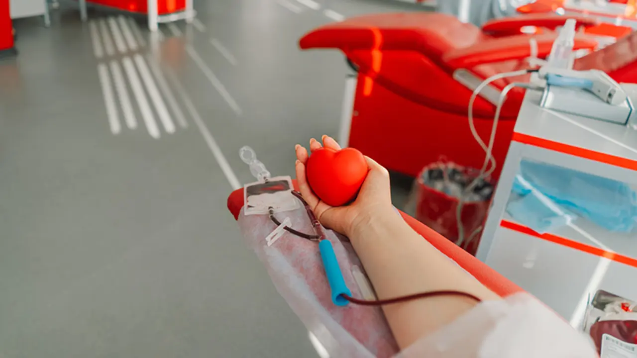 Donaci&oacute;n de sangre (Foto: Envato)