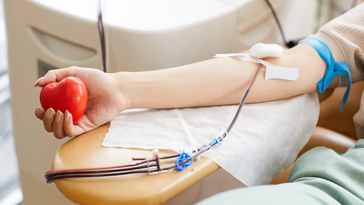 Donaci&oacute;n de sangre (Foto: Envato)