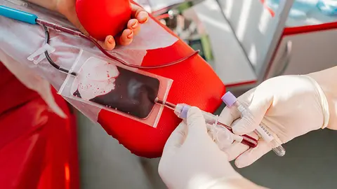 Donante de sangre (Foto: envato)