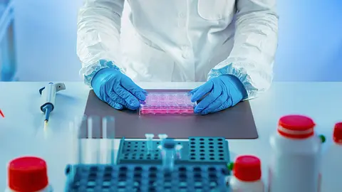 Investigación en un laboratorio (Foto: envato)