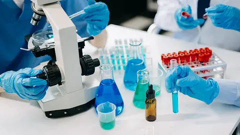 Investigación sanitaria (Foto: envato)