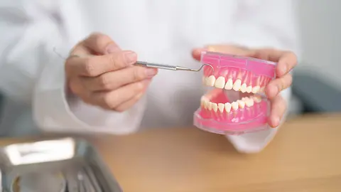 Higienista bucodental con estructura de dientes (Foto: envato)