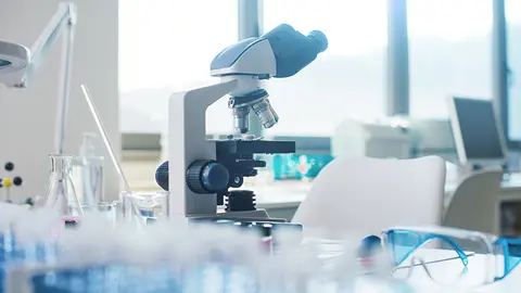 Equipamiento de investigación (Foto: envato)