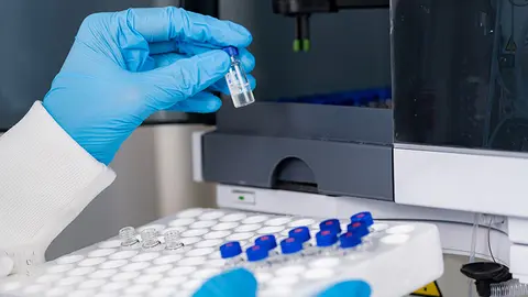 Investigación (Foto: envato)