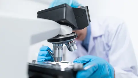 Investigación en laboratorio (Foto: envato)