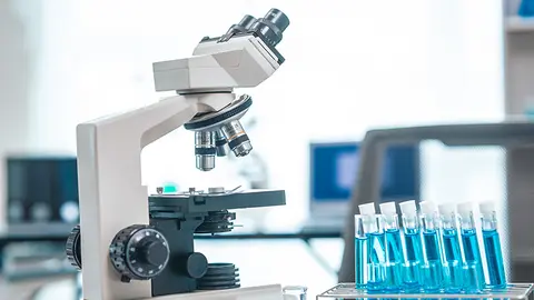 Investigación sanitaria (Foto: envato)