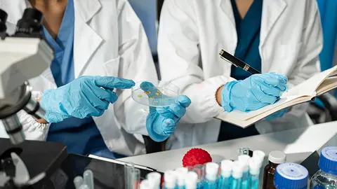 Investigación en laboratorio (Foto: envato)