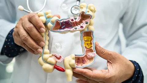 Microbiota intestinal (Foto: Envato)