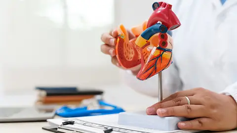 Imagen recurso de corazón (Foto: Envato)