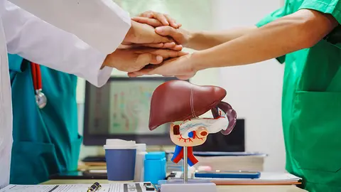 Enfermedades hep&aacute;ticas colest&aacute;sicas (Foto: envato)