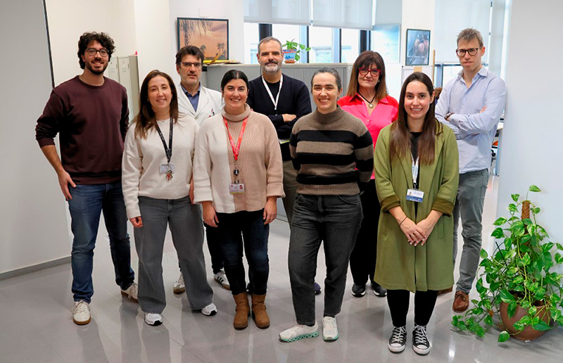 Grupo de trabajo (Foto: IDIVAL)